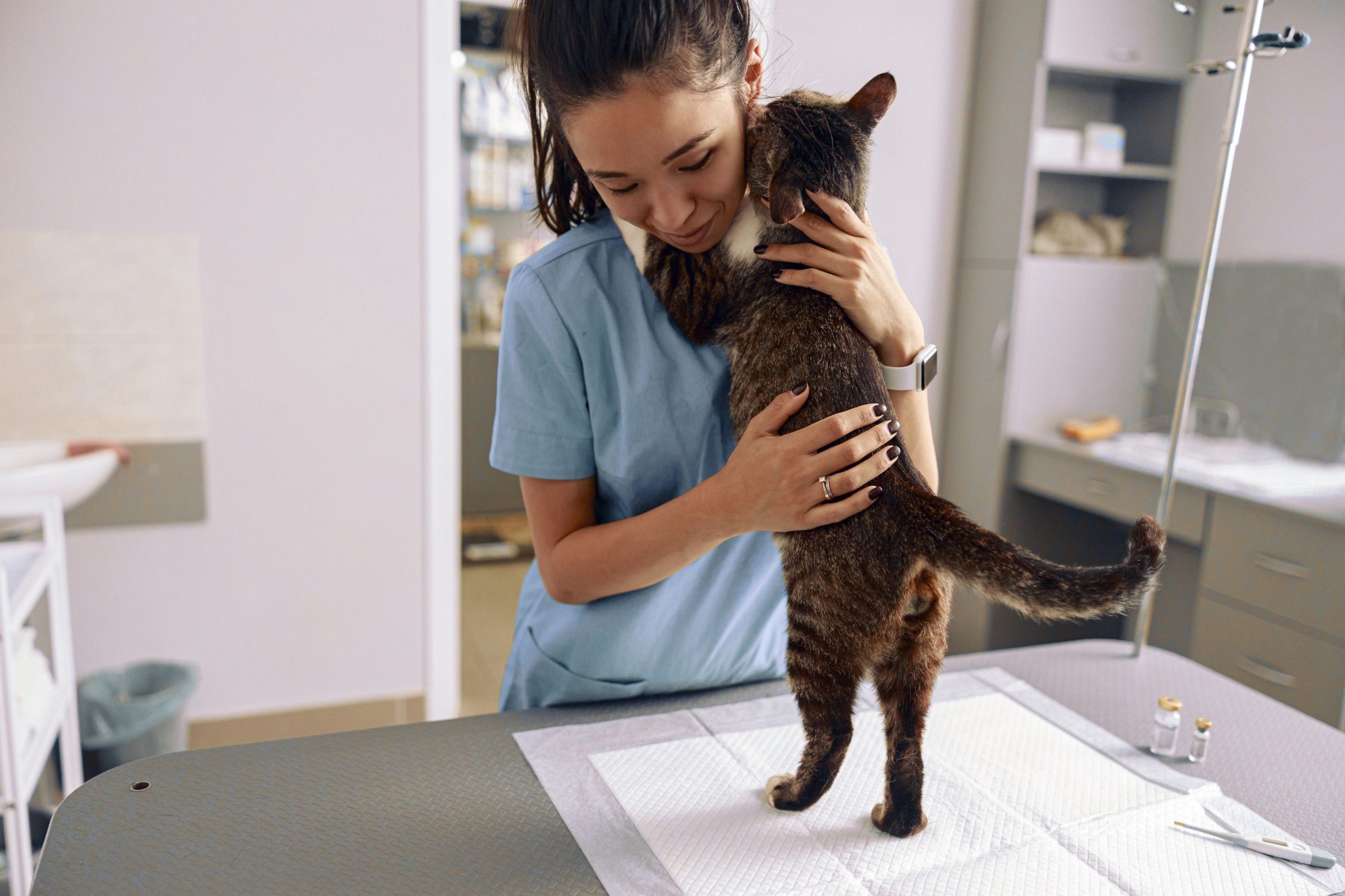 Cat hugging veterinarian.