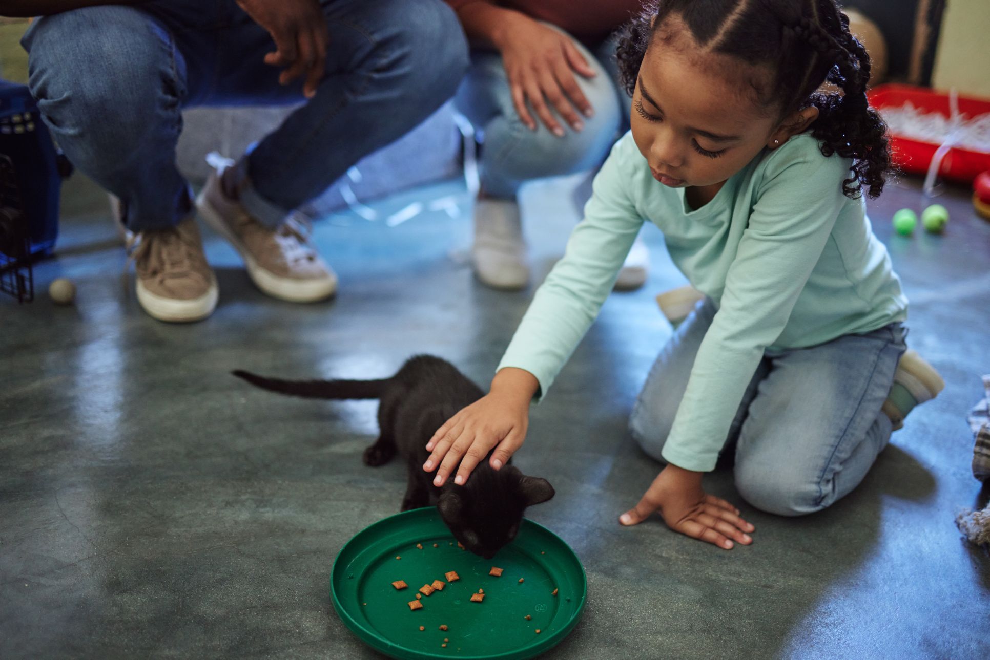 girl adopting kitten.