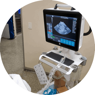 East Sacramento Veterinaty Diagnostic Equipment