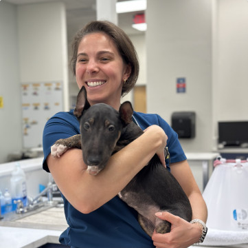 East Sacramento Veterinaty Diagnostic Equipment