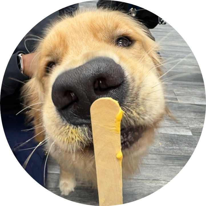 Sacramento Pet Wellness Plans Sacramento Pet Wellness Plans
